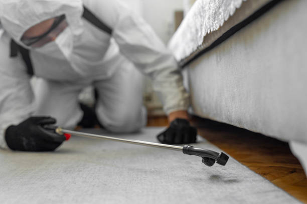 Professional Bed Bug Control technician working in Dunthorpe, OR